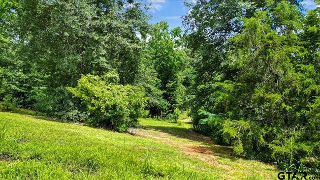 14325 County Road 2141, Home with 3 bedrooms, 2 bathrooms and null parking in Troup TX | Image 44