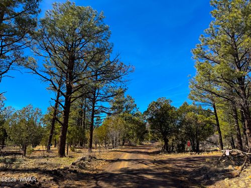 11 Co Rd 3262 5 Acres, Vernon, AZ, 85940 | Card Image