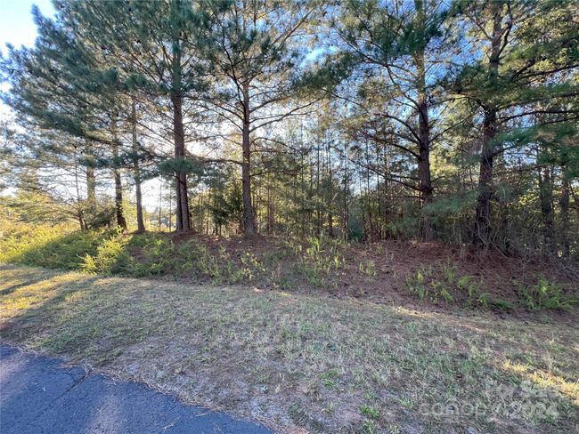111 River View Dr, Home with 0 bedrooms, 0 bathrooms and null parking in Mooresboro NC | Image 4