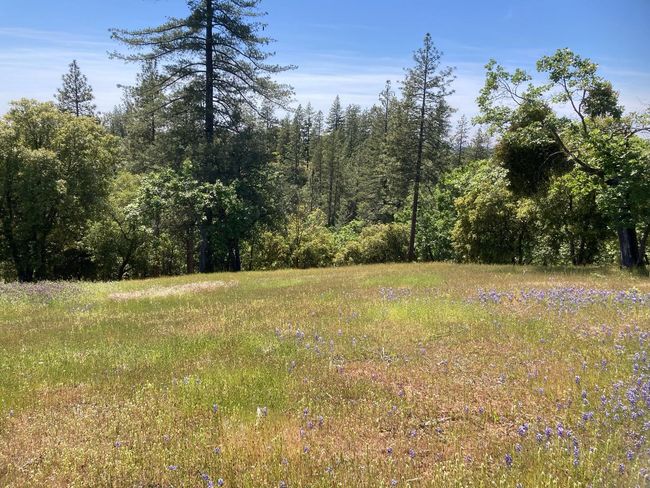 16688 Sonshine Ln, Home with 0 bedrooms, 0 bathrooms and null parking in Sutter Creek CA | Image 47