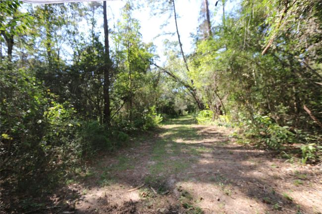 18156 State Highway 87 S, Home with 0 bedrooms, 0 bathrooms and null parking in Call TX | Image 6