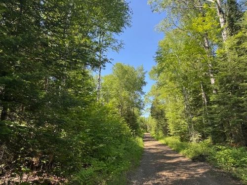 305 Irish Creek Rd, Hovland, MN, 55606 | Card Image