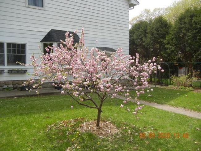 11212 W River Road, House other with 4 bedrooms, 3 bathrooms and null parking in Champlin MN | Image 51