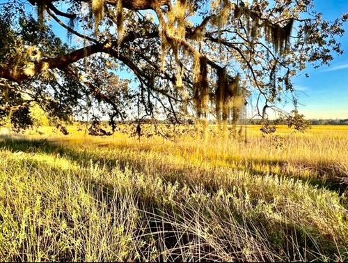 481 Paige Point Blf, Seabrook, SC, 29940-2703 | Card Image