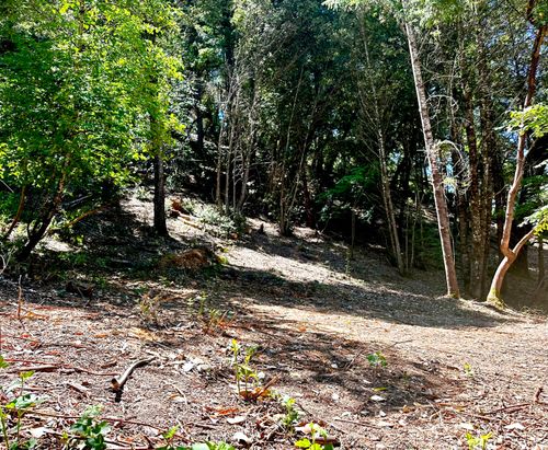 775 & 801 Forest View Dr, Willow Creek, CA, 95573-9309 | Card Image