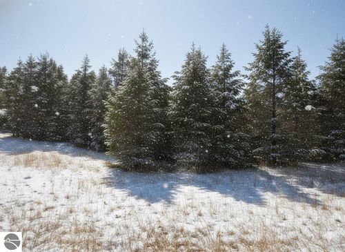 10.25 N 2 1/2 Road, Buckley, MI, 49620 | Card Image