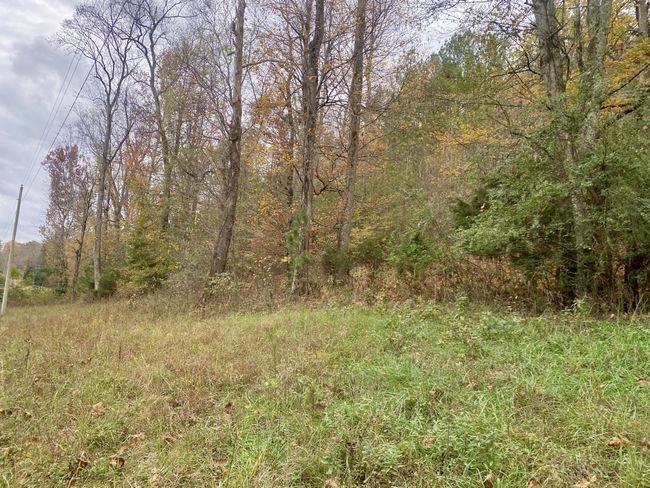 427 Blooming Grove Rd, House other with 2 bedrooms, 2 bathrooms and null parking in Five Points TN | Image 16