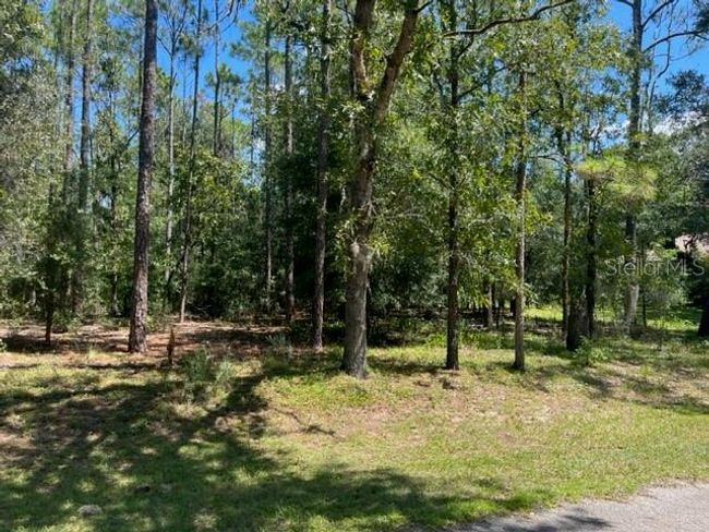 00 Sw 84th Loop, Home with 0 bedrooms, 0 bathrooms and null parking in Dunnellon FL | Image 3