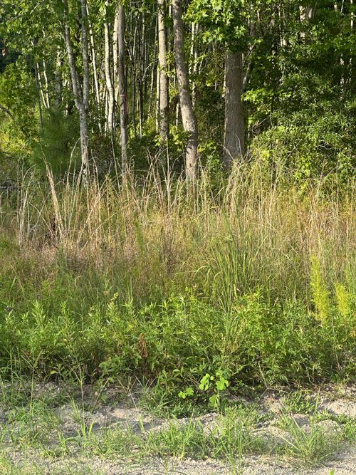 0 Hoover, Branchville, SC, 29432 | Card Image