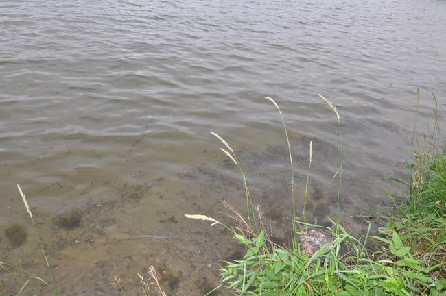 Hard sand lake bottom | Image 5