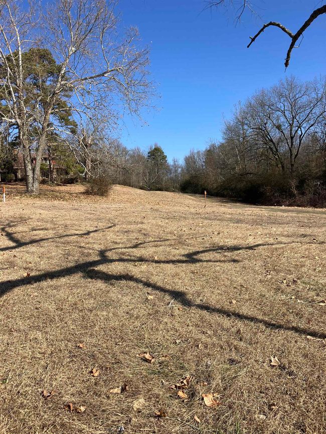 5553 Highway 71 S, House other with 4 bedrooms, 2 bathrooms and null parking in Cove AR | Image 14
