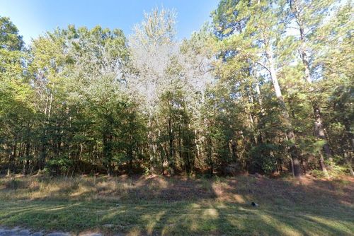 0 Thirty Five Mile Rd, Ridgeville, SC, 29472 | Card Image