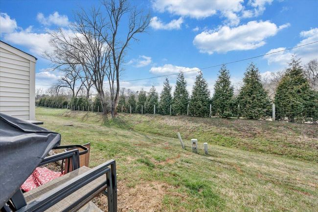 Backyard | Image 21
