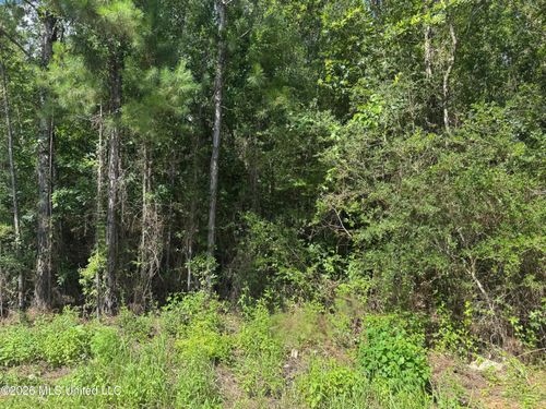 000 Schrader Court, Saucier, MS, 39574 | Card Image