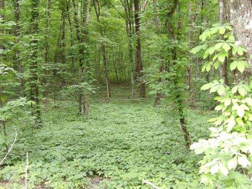 0 E Ridge Rd, Pikeville, TN, 37367 | Card Image