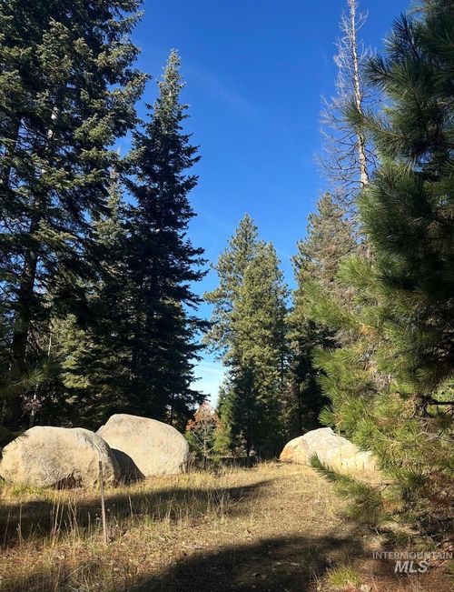 TBD Heavens Gate Ct., McCall, ID, 83638 | Card Image