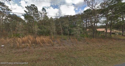 13176 Kildeer Rd, Weeki Wachee, FL, 34614-2107 | Card Image