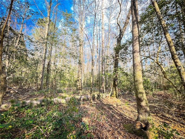00 New Bridge Rd, Home with 0 bedrooms, 0 bathrooms and null parking in Mc Coll SC | Image 22