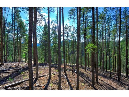 6824 Lynx Lair Rd, Evergreen, CO, 80439-6589 | Card Image