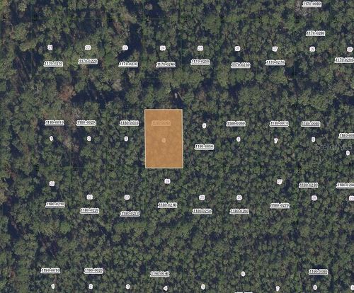 307 Tropical Dr, Georgetown, FL, 32139 | Card Image