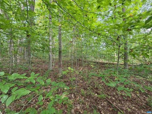 230 Beech Nut Dr, LOUISA, VA, 23093-7018 | Card Image