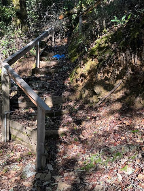 17561 Duncan Rd, Guerneville, CA, 95446-3006 | Card Image