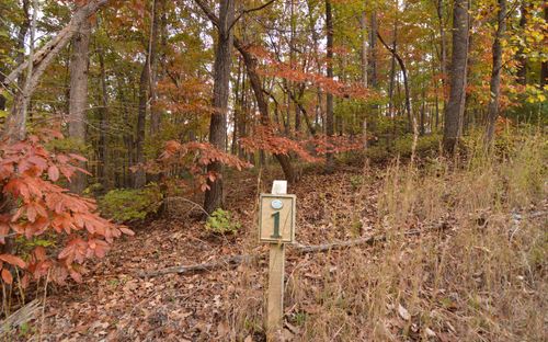 LOT 1 Serene Way, Blairsville, GA, 30512-3527 | Card Image