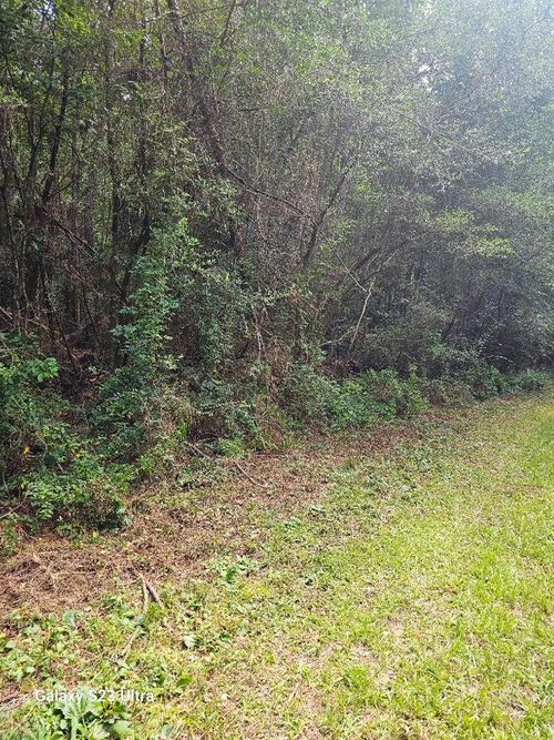 Lot 150 Glendale Dr, Lumberton, MS, 39455-5119 | Card Image