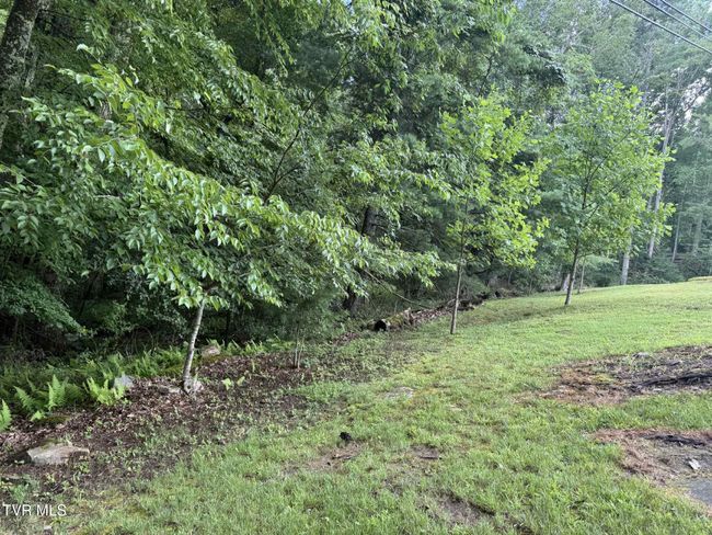 2818 Dungannon Rd, House other with 3 bedrooms, 2 bathrooms and null parking in Coeburn VA | Image 53