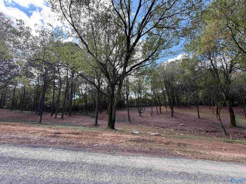 #1B County Road 1123, Vinemont, AL, 35179 | Card Image
