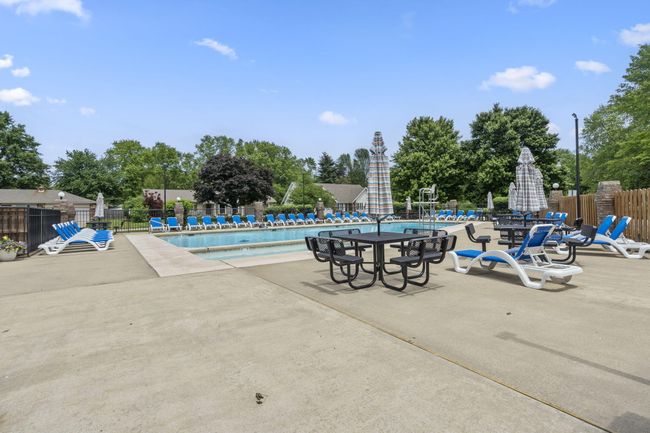 35-web-or-mls-DSC01556 | Image 67
