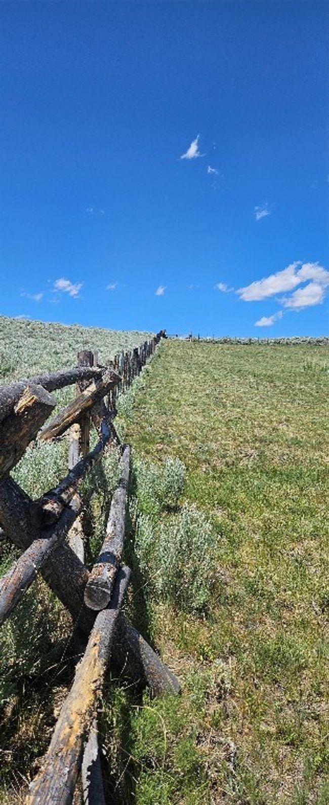 South Fenceline | Image 24
