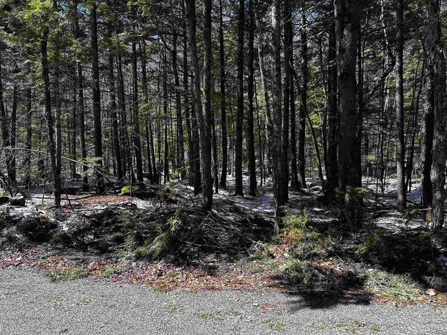 118 - 118 Pauls Place, Home with 0 bedrooms, 0 bathrooms and null parking in Enfield NH | Image 4