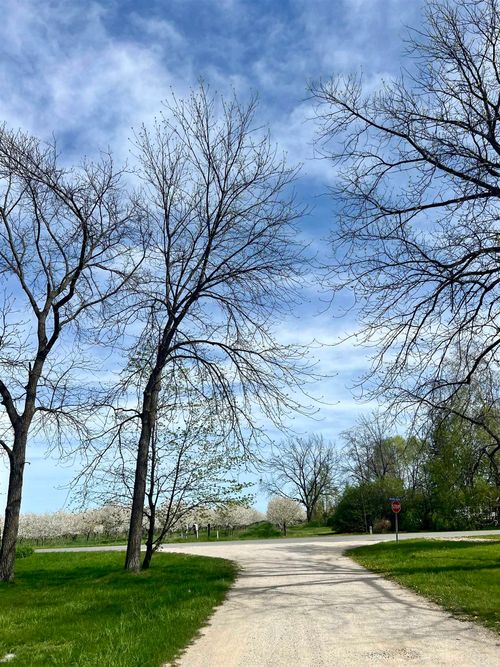 Lot 10 Meadow Brooke Lane, Milton Township, MI, 49648 | Card Image