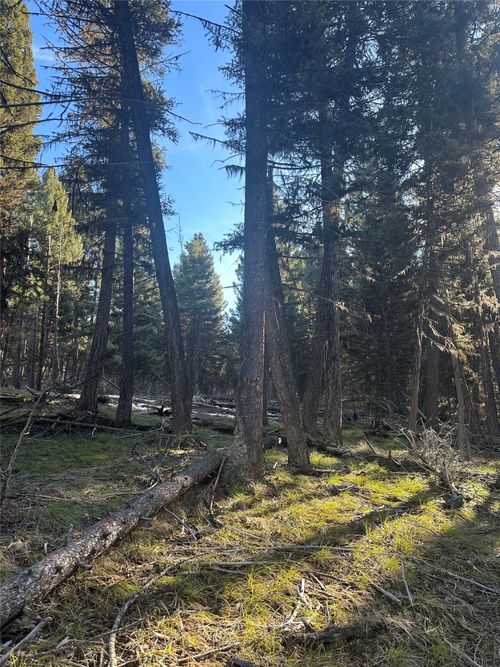 1274 Grandview Dr, Seeley Lake, MT, 59868-8783 | Card Image