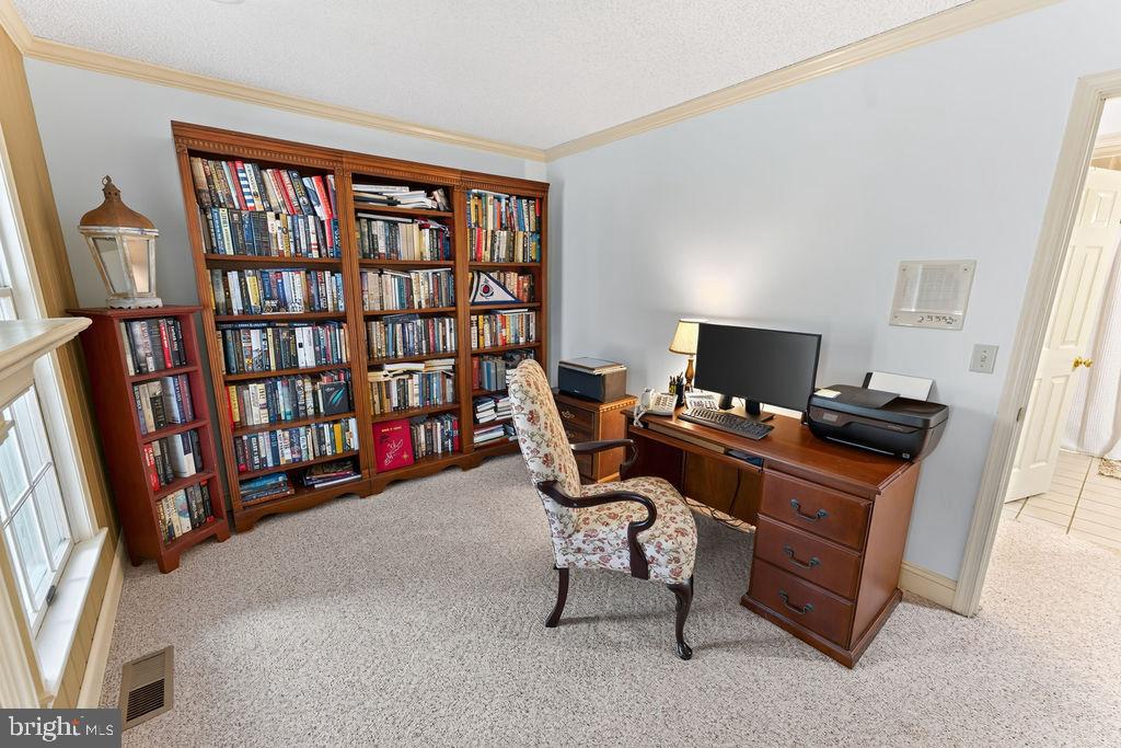 Residential in PRINCESS ANNE 3