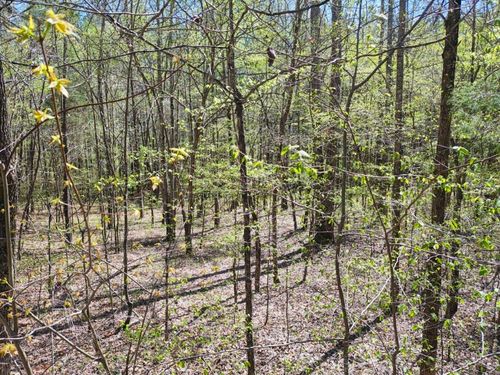 0 Roanoke Creek Rd, Collinwood, TN, 38450 | Card Image