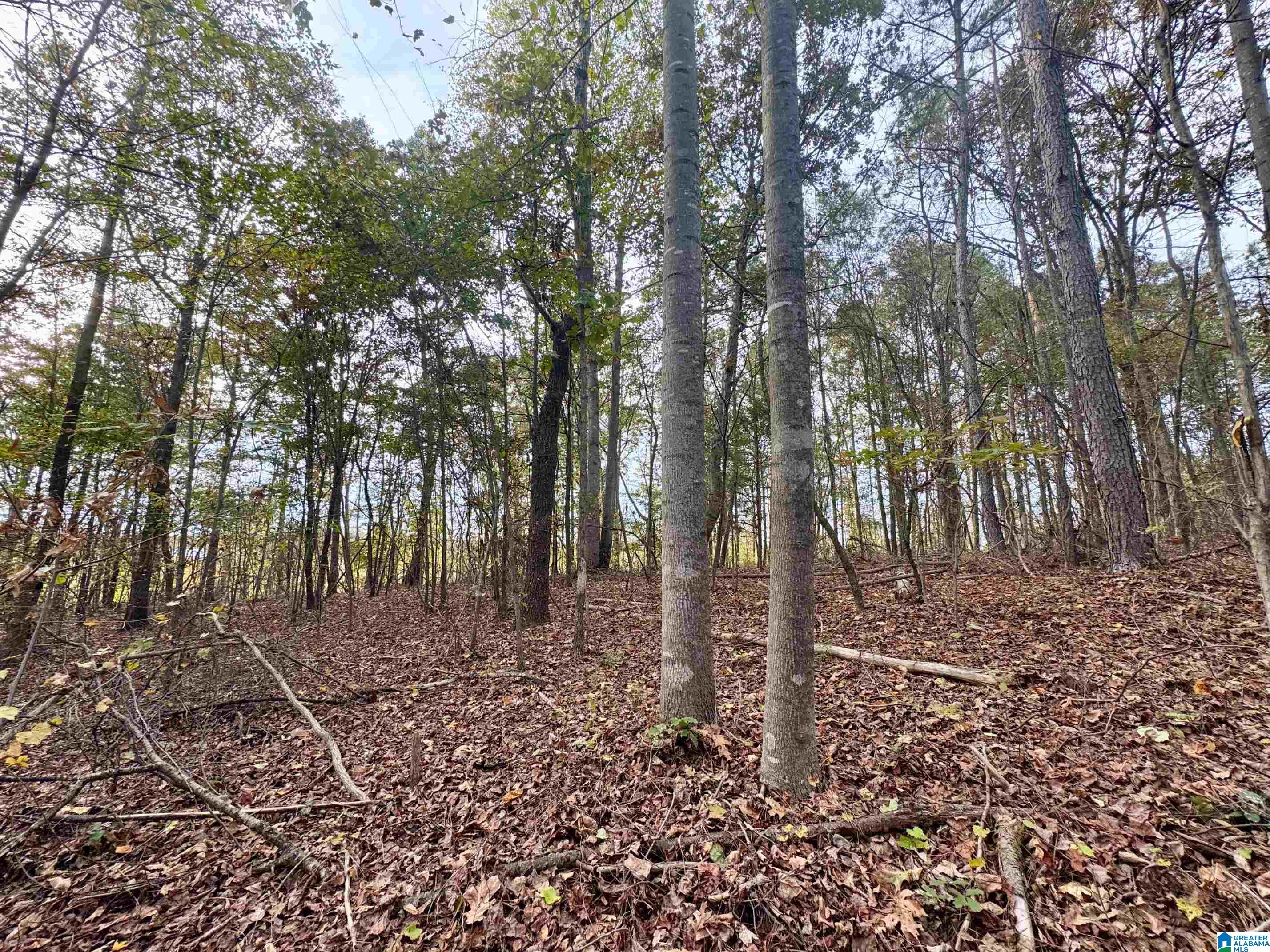 Land in NEWELL 2