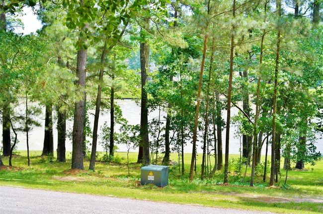 695 Lake Shore Dr, Home with 0 bedrooms, 0 bathrooms and null parking in Coldspring TX | Image 4