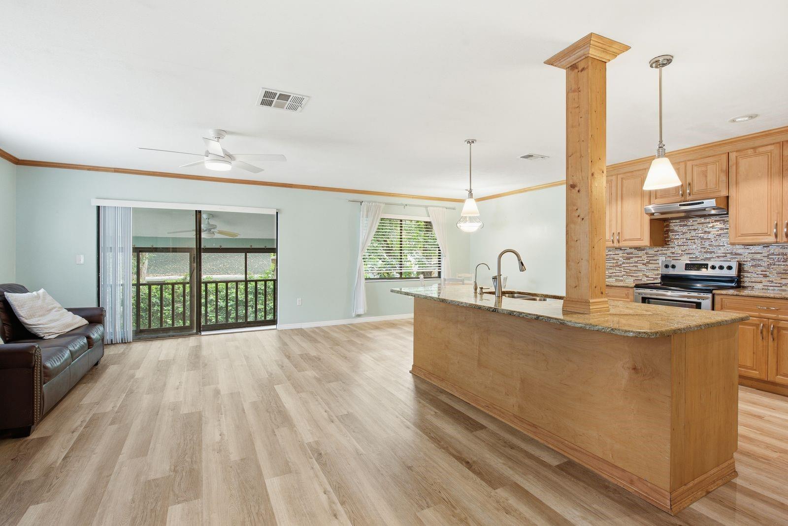 Residential in SAFETY HARBOR 4