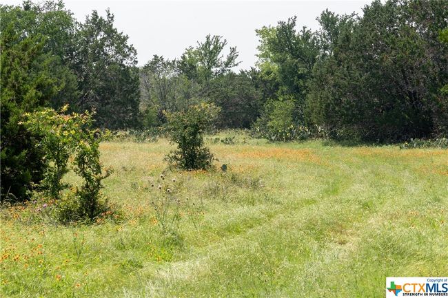 12283 Crows Ranch Rd, Home with 0 bedrooms, 0 bathrooms and null parking in Salado TX | Image 13