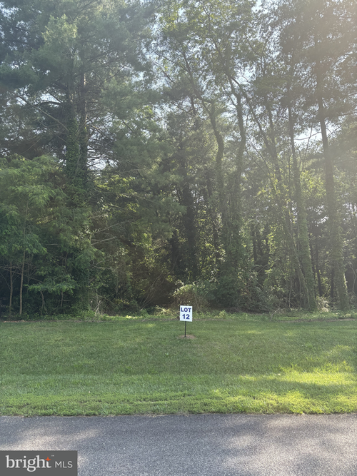 12 Wilson Point Rd, GALENA, MD, 21635 | Card Image