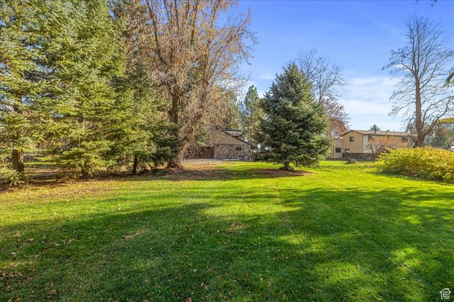 View of grassy yard | Image 16
