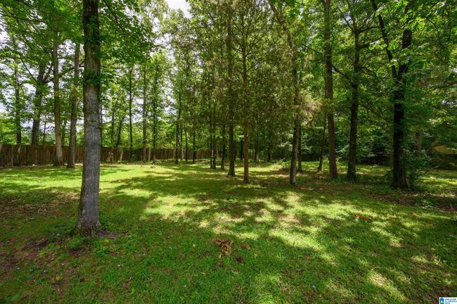 118 Dogwood Trl, House other with 4 bedrooms, 3 bathrooms and null parking in ALABASTER AL | Image 38