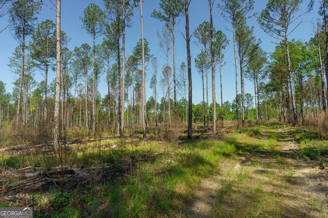 6053 Sun Hill Grange Rd, Home with 0 bedrooms, 0 bathrooms and null parking in Davisboro GA | Image 84