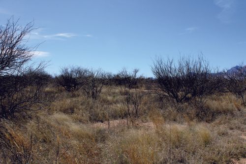 d-5.52 Acres E Chaco Lane, Hereford, AZ, 85615 | Card Image