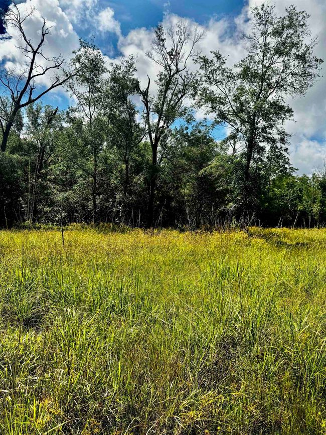 8982 Fm 2246 Rd, Home with 0 bedrooms, 0 bathrooms and null parking in Buna TX | Image 6