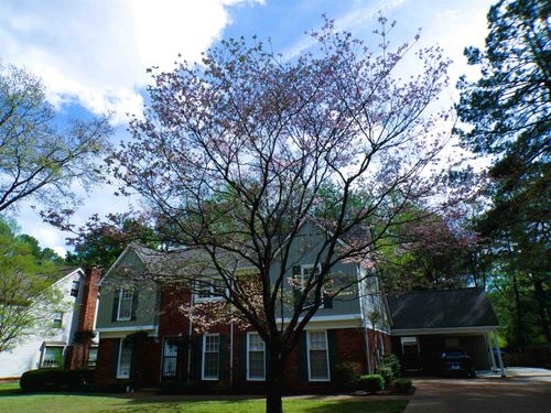 8325 Farmington Blvd, Germantown, TN, 38139-3221 | Card Image