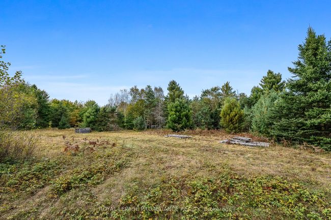 00 Highway 41, Home with 0 bedrooms, 0 bathrooms and null parking in Kaladar ON | Image 11