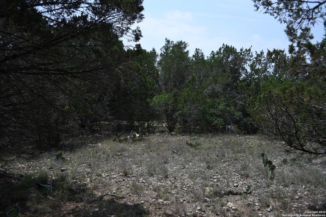 135 Agarita Dr, Home with 0 bedrooms, 0 bathrooms and null parking in Spring Branch TX | Image 9
